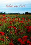 Jardin de coquelicots pour 2026